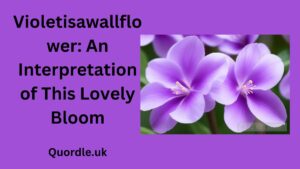 Read more about the article Violetisawallflower: An Interpretation of This Lovely Bloom